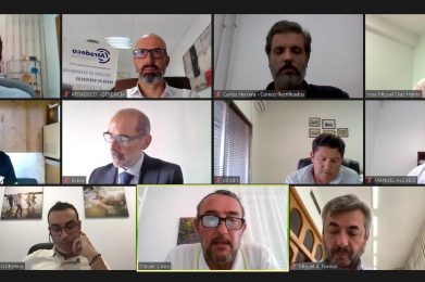 Videoconferencia con la Alcaldía de Córdoba y la Delegación de Movilidad sobre el proyecto de ciudad en materia de movilidad.